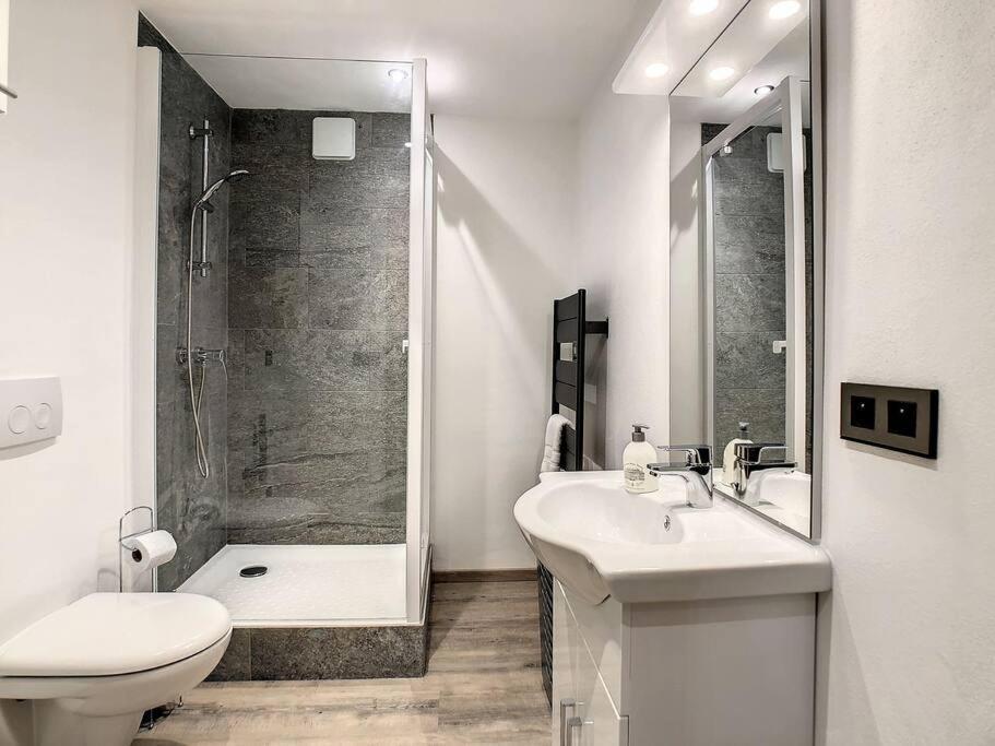 Mont Alt, F2 40m2 En Rdc, Calme, Vue Mt Blanc Apartment *