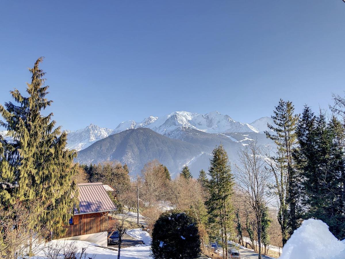 Mont Alt, F2 40m2 En Rdc, Calme, Vue Mt Blanc Appartement Passy (Haute-Savoie)
